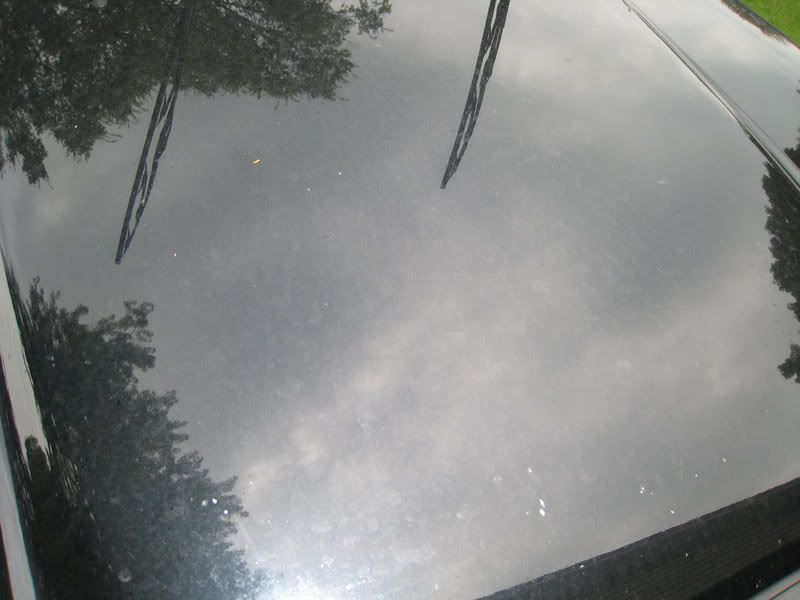 hood-before-2-small.jpg