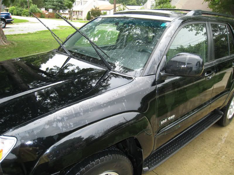 still-wet-small.jpg