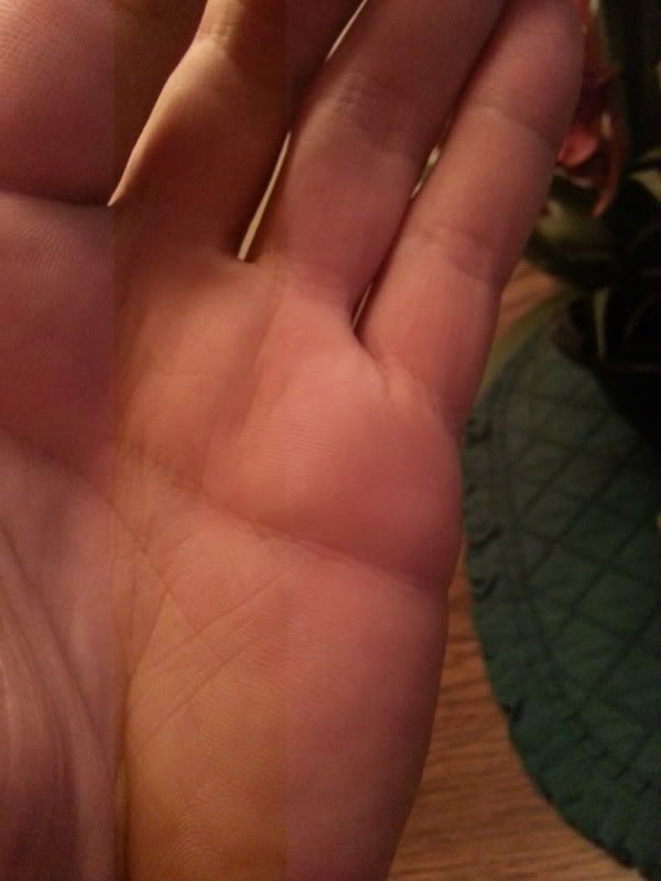 20120805_193619.jpg