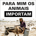 Para mim, importam!