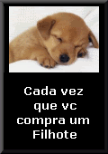 Não compre, adote.