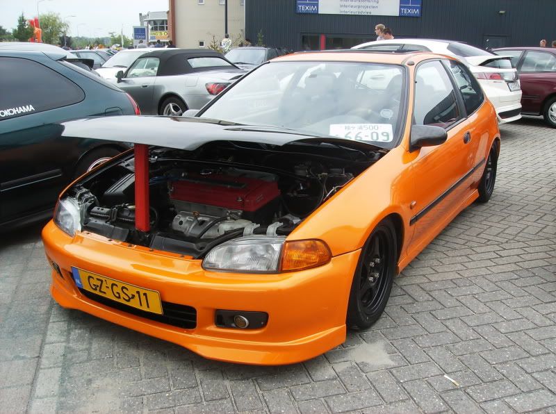 Orange Eg