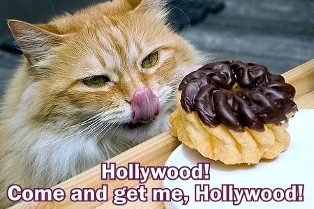 Hollywood and cruller Pictures, Images and Photos