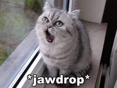 Jawdropcat