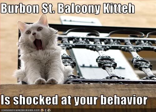 funny-pictures-balcony-cat-is-shock.jpg