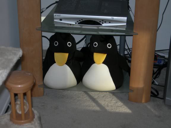 re: Another Penguin Movie