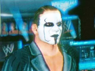 Sting9.jpg