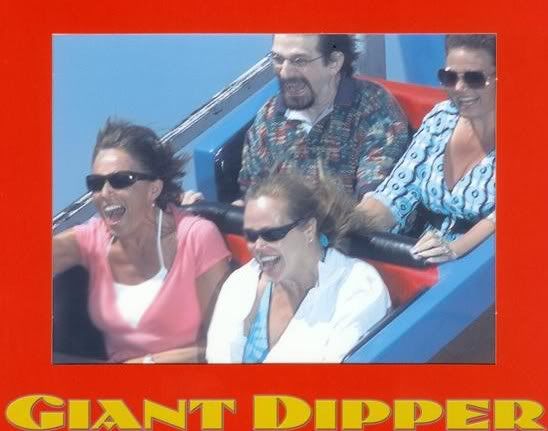rollercoaster.jpg picture by leaannjohnson