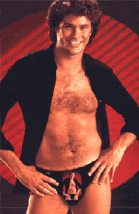 davidhasslehoff-loves-teh-c.gif