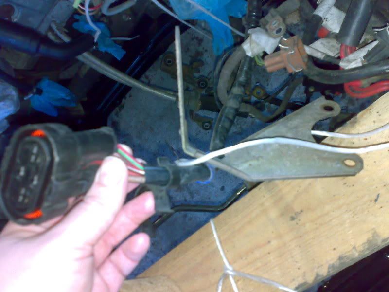 30112009234.jpg?t=1271973065