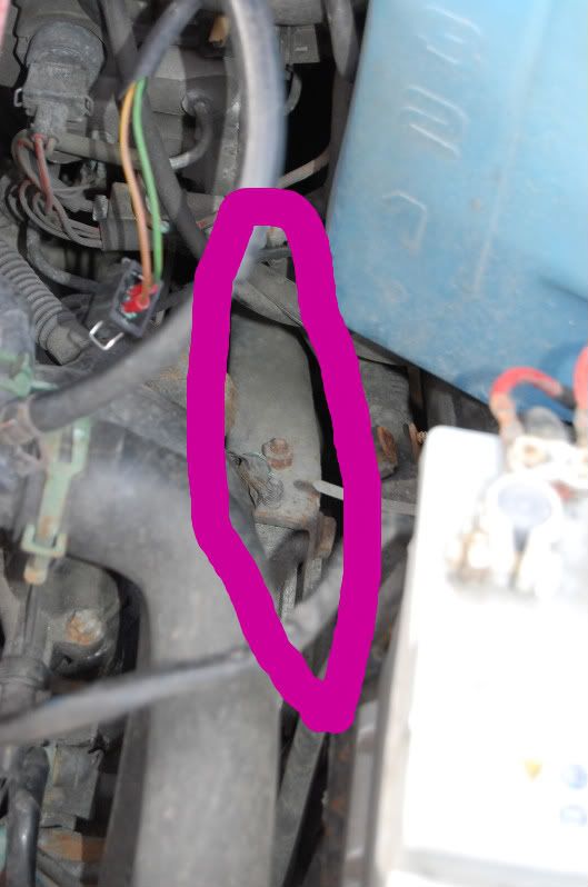 DSC_1549-1.jpg?t=1272123633