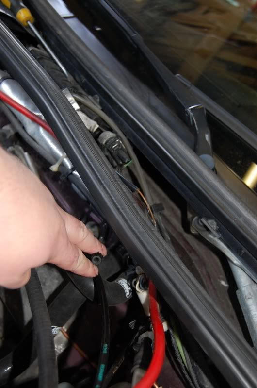 DSC_1580.jpg?t=1275392204