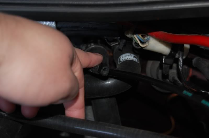 DSC_1581.jpg?t=1275392202