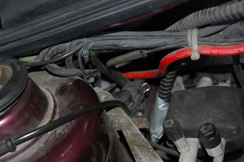 DSC_1582.jpg?t=1275392198