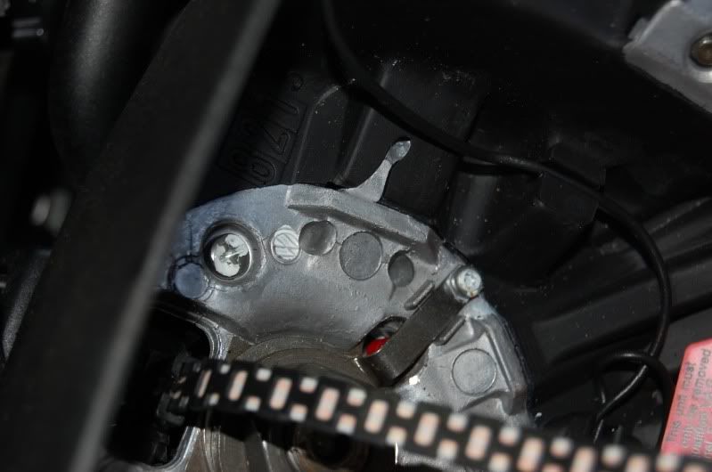 DSC_1583.jpg?t=1275392196