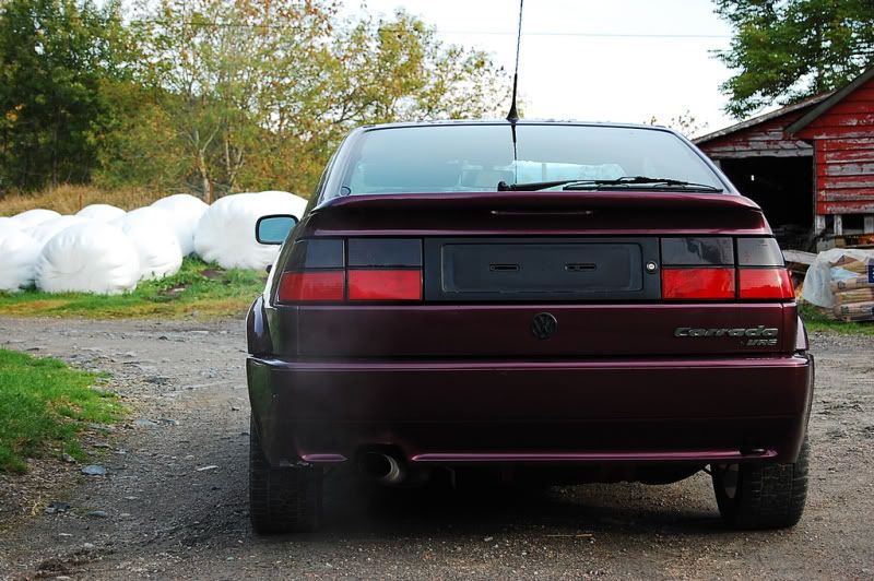 corrado004.jpg?t=1267390148