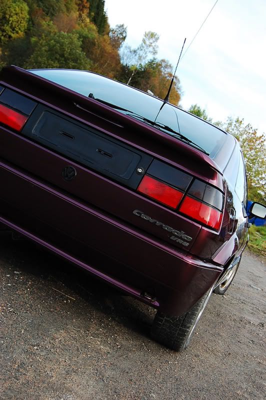 corrado005.jpg?t=1267390149
