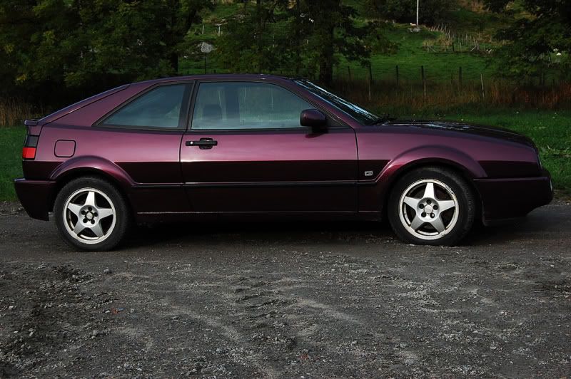 corrado010.jpg?t=1267390151