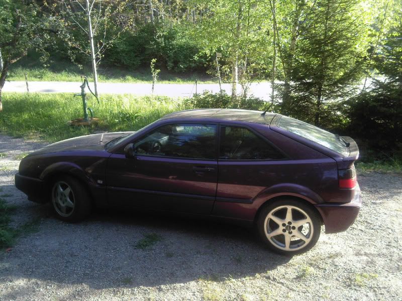 corrado012.jpg?t=1267390142