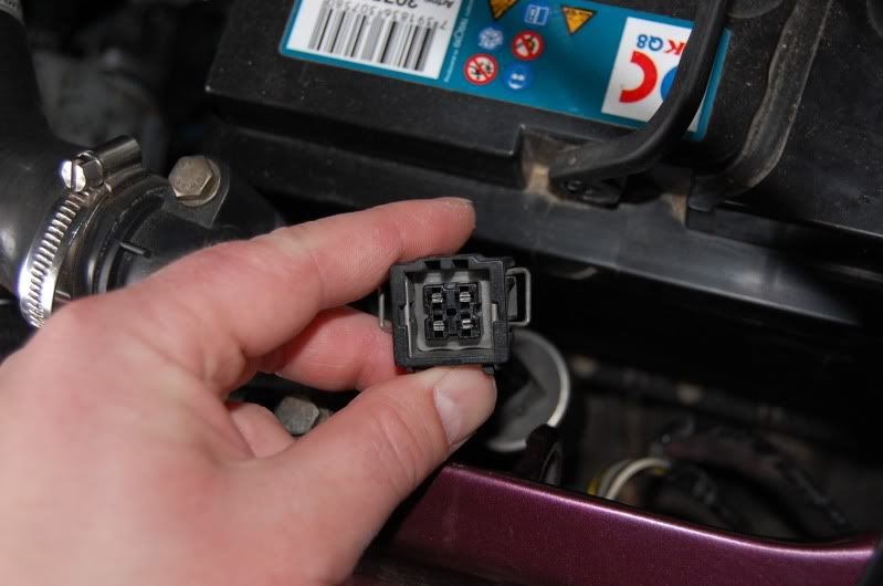 DSC_1606.jpg?t=1276696450