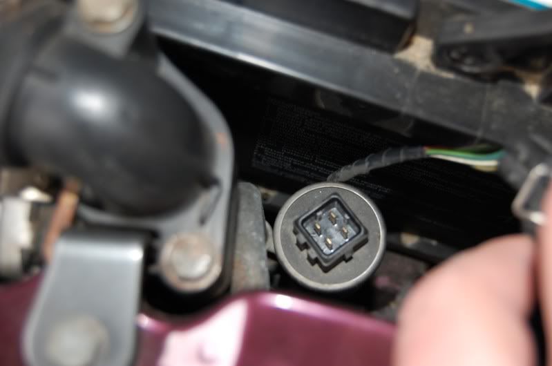 DSC_1607.jpg?t=1276696283