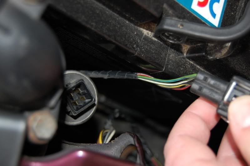 DSC_1608.jpg?t=1276696281