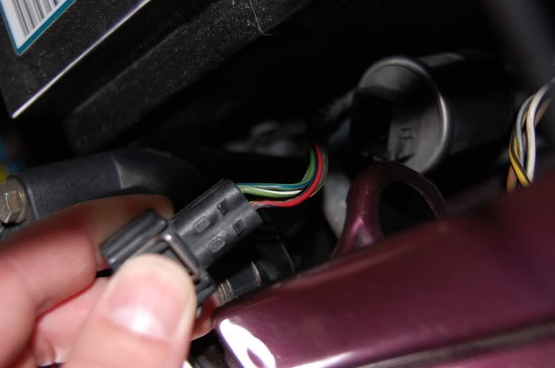 DSC_1609.jpg?t=1276696280