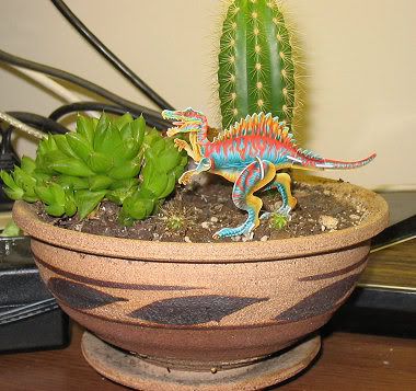 those extra-small cacti in the foreground were grown from a seed packet
