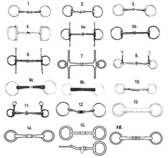 legalbits.jpg Photo by idlewild202 Photobucket