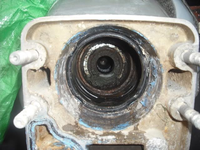 DSCF9045.jpg