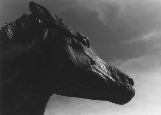 HorseHeadSculpture.jpg