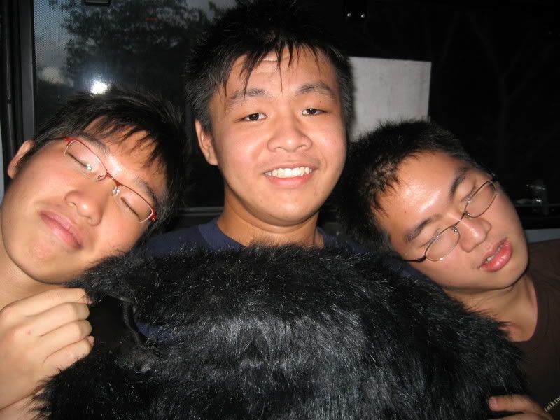 Photo Sharing and Video Hosting at Photobucket