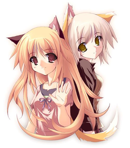 http://i16.photobucket.com/albums/b44/Okami_121/nekomimi/wolfandfox.jpg