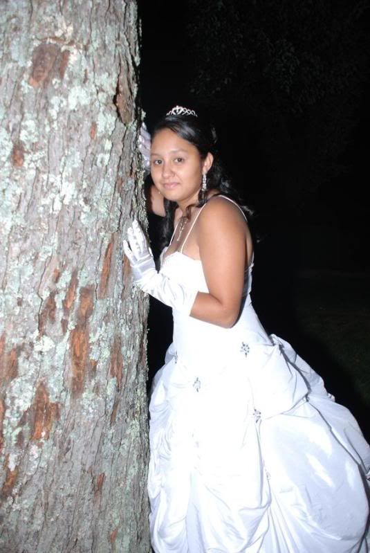 Cinderella Wedding Dress wedding cinderella dress L 