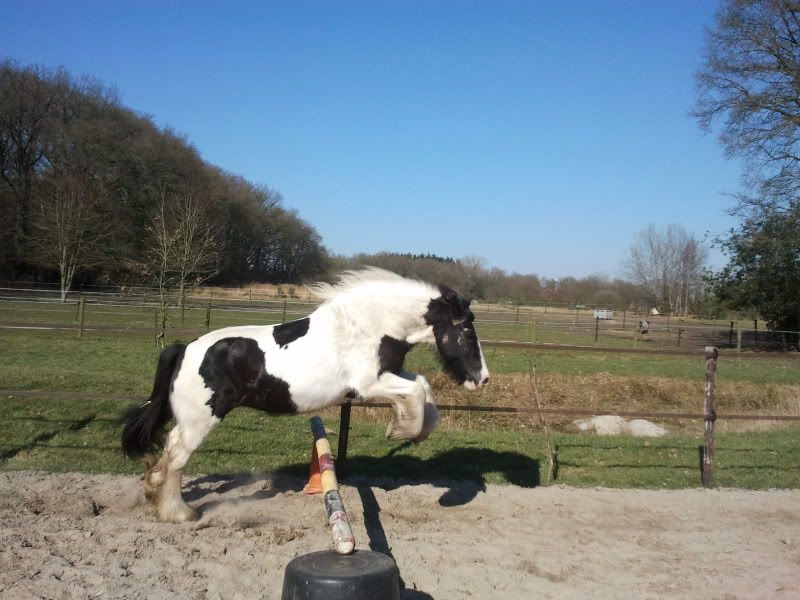 Afbeelding
