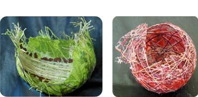 Food2