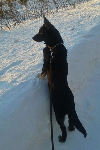 Hilma