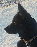 Hilma