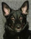 Lila