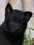 Kero