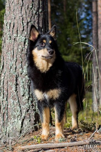 Vinja 7kk