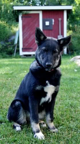 Ruska