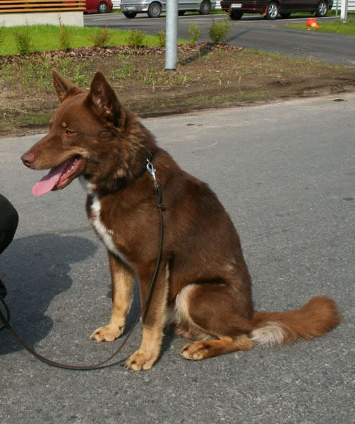 Okta