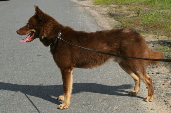Okta