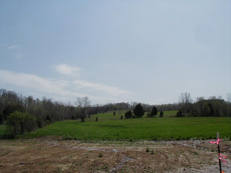 HELP!! opinions on land price made an offer - Homesteading Questions