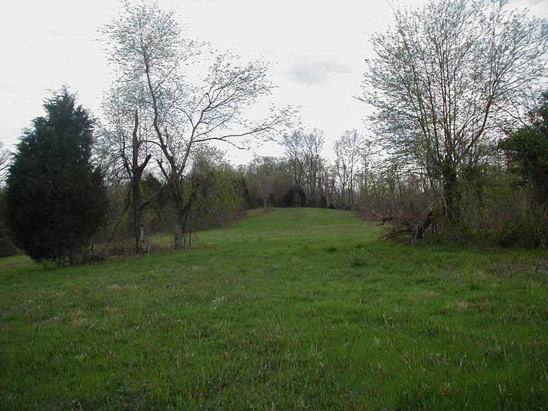 HELP!! opinions on land price made an offer - Homesteading Questions