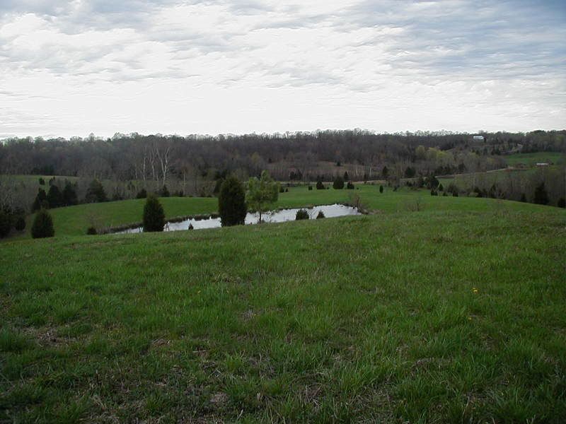 HELP!! opinions on land price made an offer - Homesteading Questions