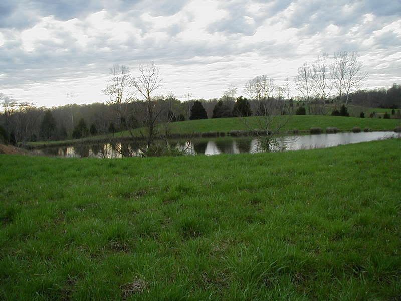 HELP!! opinions on land price made an offer - Homesteading Questions