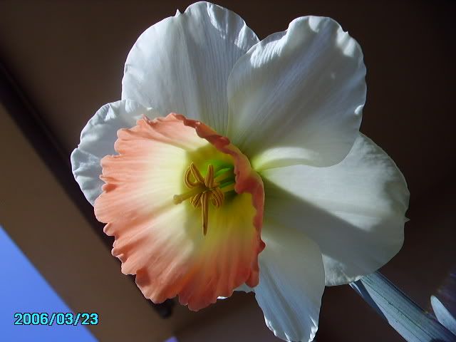 2006-03-23004.jpg