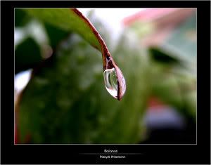 Photobucket - Video and Image Hosting Photobucket - Video and Image Hosting